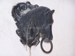 Castillo de Velez-Blanco 2010